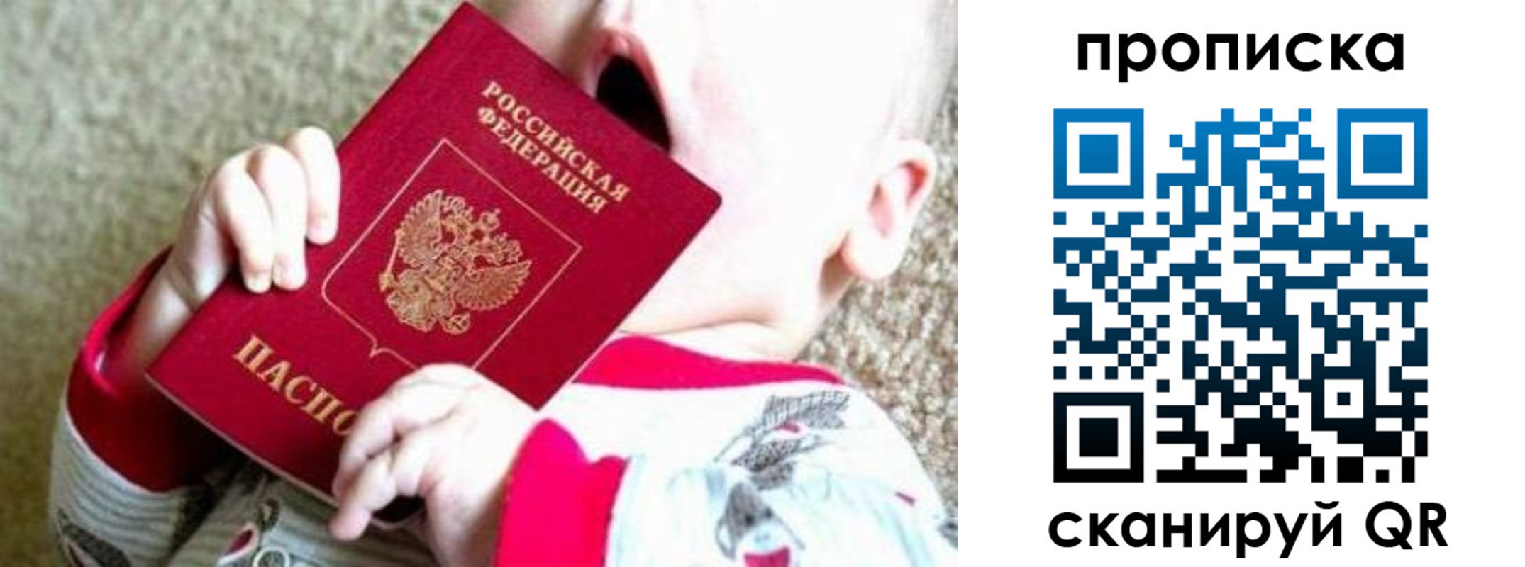 прописка законно в Новороссийске